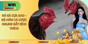 Đá Gà Cựa Dao - Bộ Môn Cá Cược Online Đầy Kích Thích