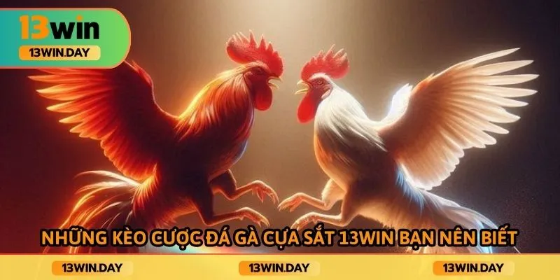 Những kèo cược đá gà cựa sắt 13WIN bạn nên biết Những kèo cược đá gà cựa sắt 13WIN bạn nên biết